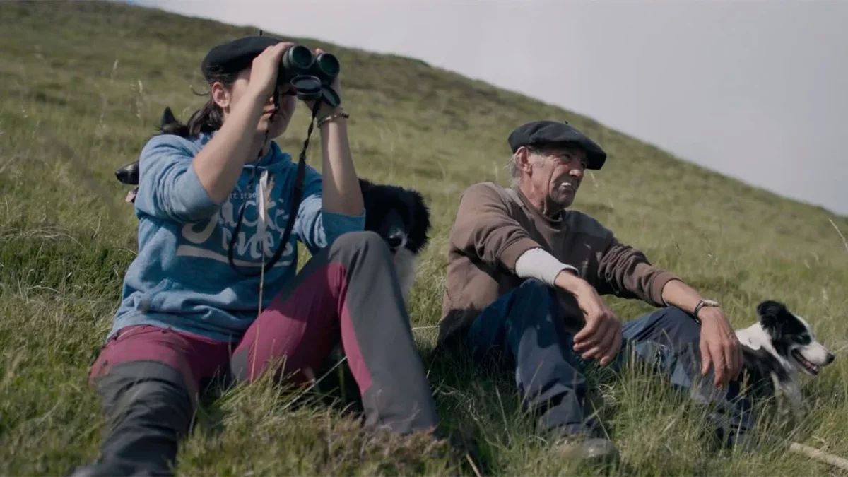 la cohabitation difficile entre bergers et ours dans les pyrénées